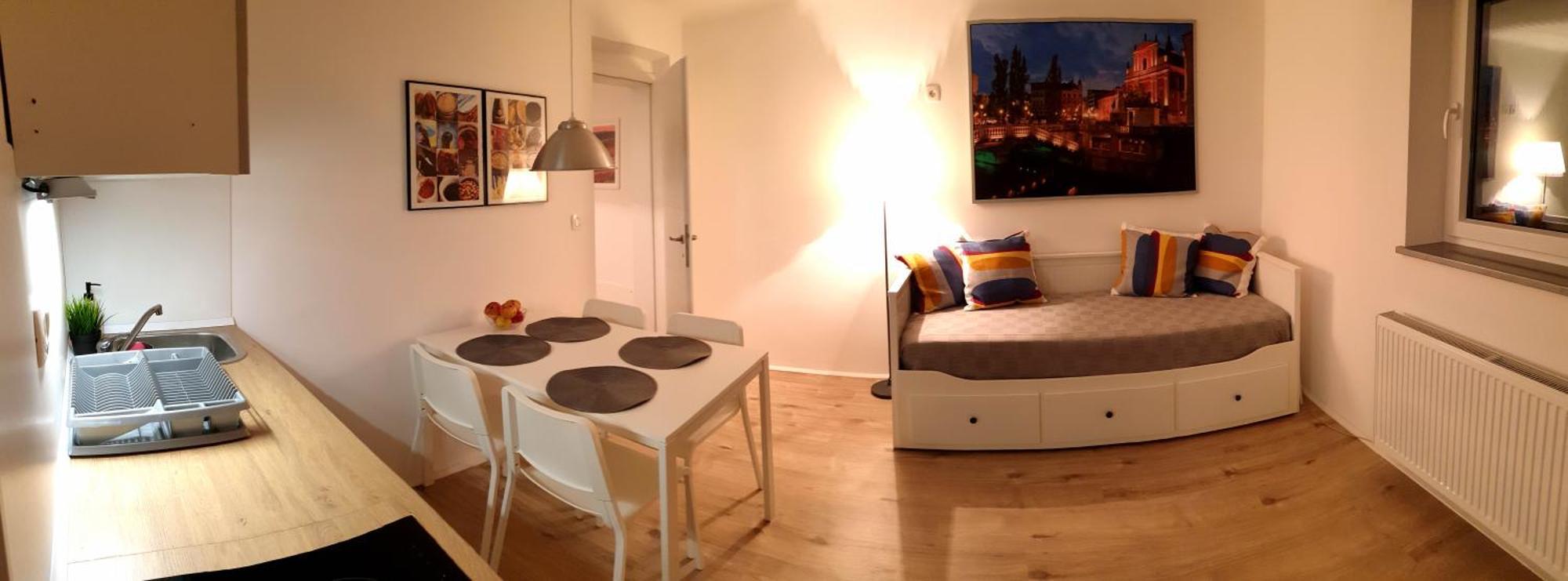 Apartment Tomc Ljubljana Extérieur photo